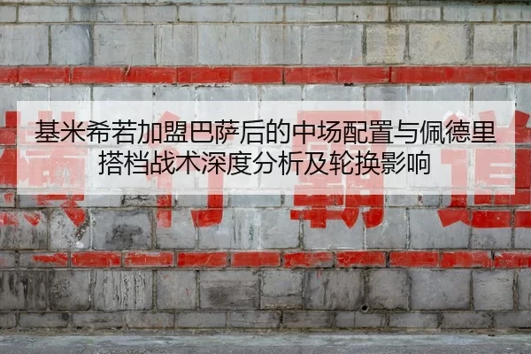 ji-mi-xi-ruo-jia-meng-ba-sa-hou-de-zhong-chang-pei-zhi-yu-pei-de-li-da-dang-zhan-shu-shen-du-fen-xi-ji-lun-huan-ying-2-217.jpg