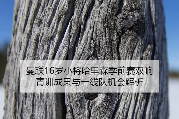 曼联16岁小将哈里森季前赛双响 青训成果与一线队机会解析